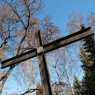 Link zu den Highlights